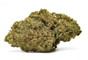 Rockstar Indica