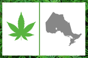 Buy Weed in Ontario Online