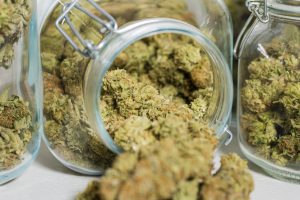 Buying weed online in Canada