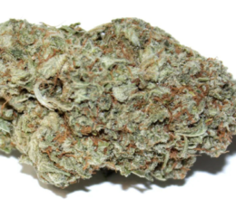 Triple X Cannabis Strain