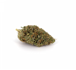 Pink Kush Marijuana Strain