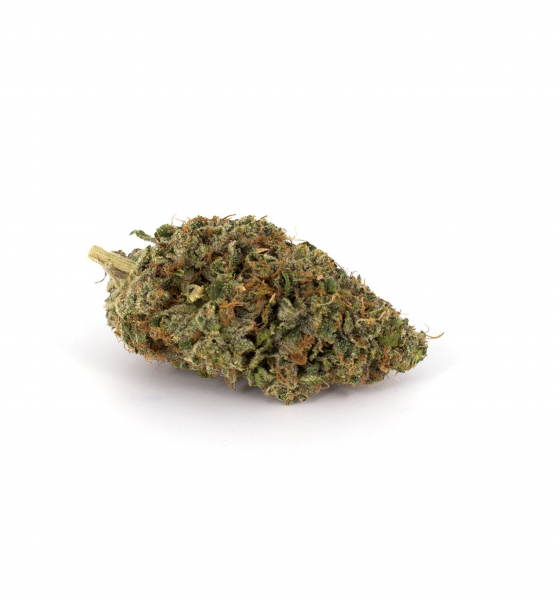 Pink Kush Marijuana Strain