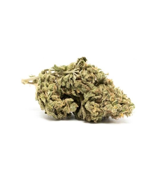 Buy Master Kush