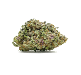 Buy Weed Online in Canada