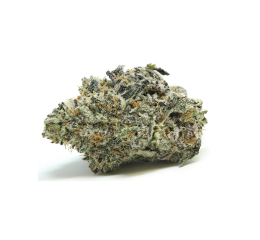 Buy Cannabis Online