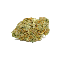 Tangerine Dream Marijuana