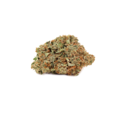 Best Weed in Canada