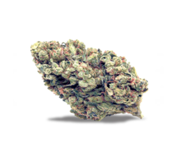 Double OG Marijuana Strain