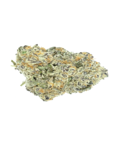 Afgani Purple marijuana