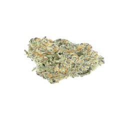 Afgani Purple marijuana