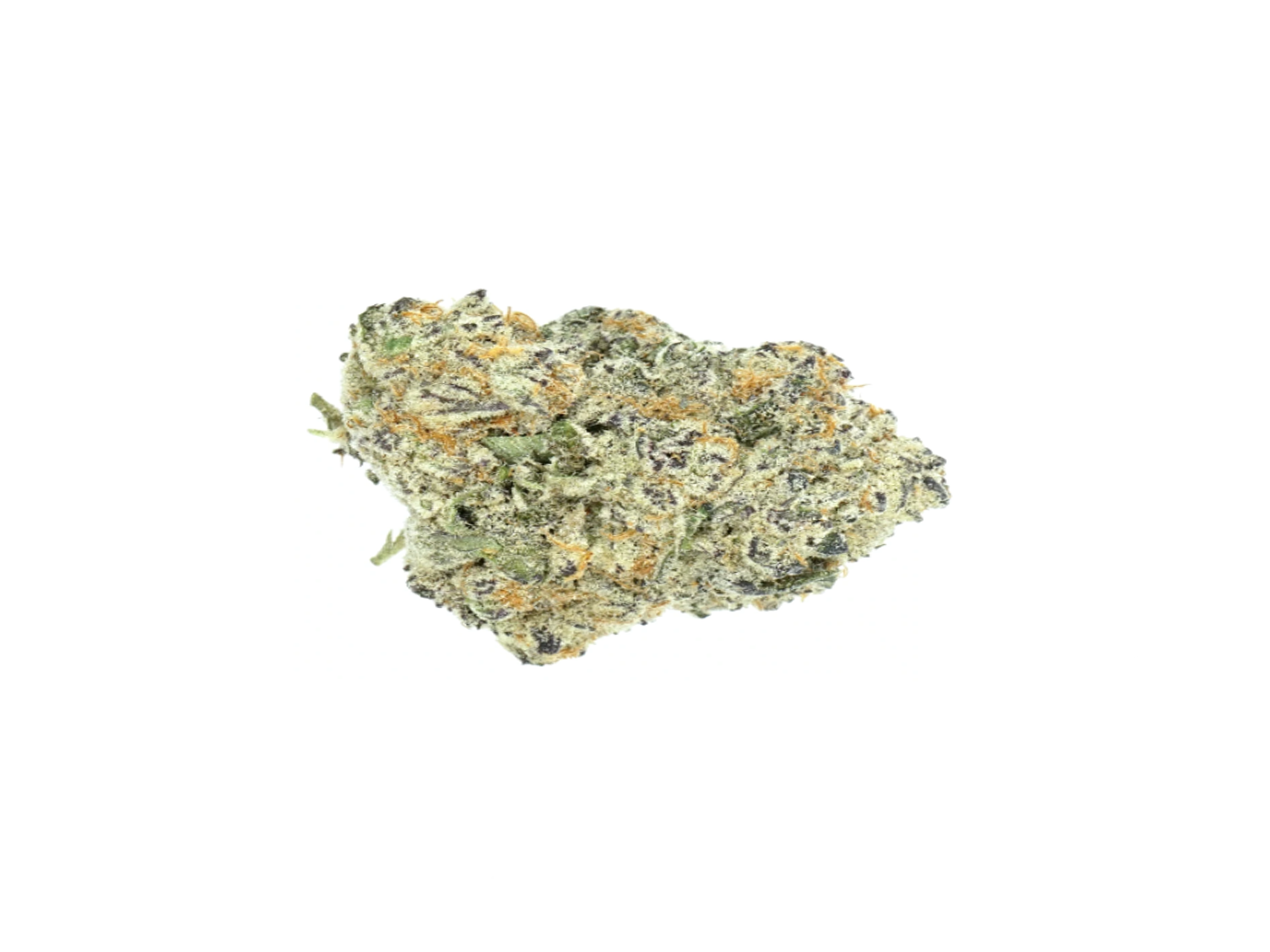 Afgani Purple marijuana