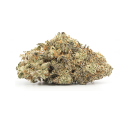 Thin Mint Girl Scout Cookies Marijuana Strain