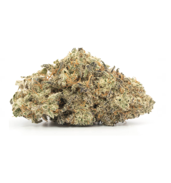 Thin Mint Girl Scout Cookies Marijuana Strain