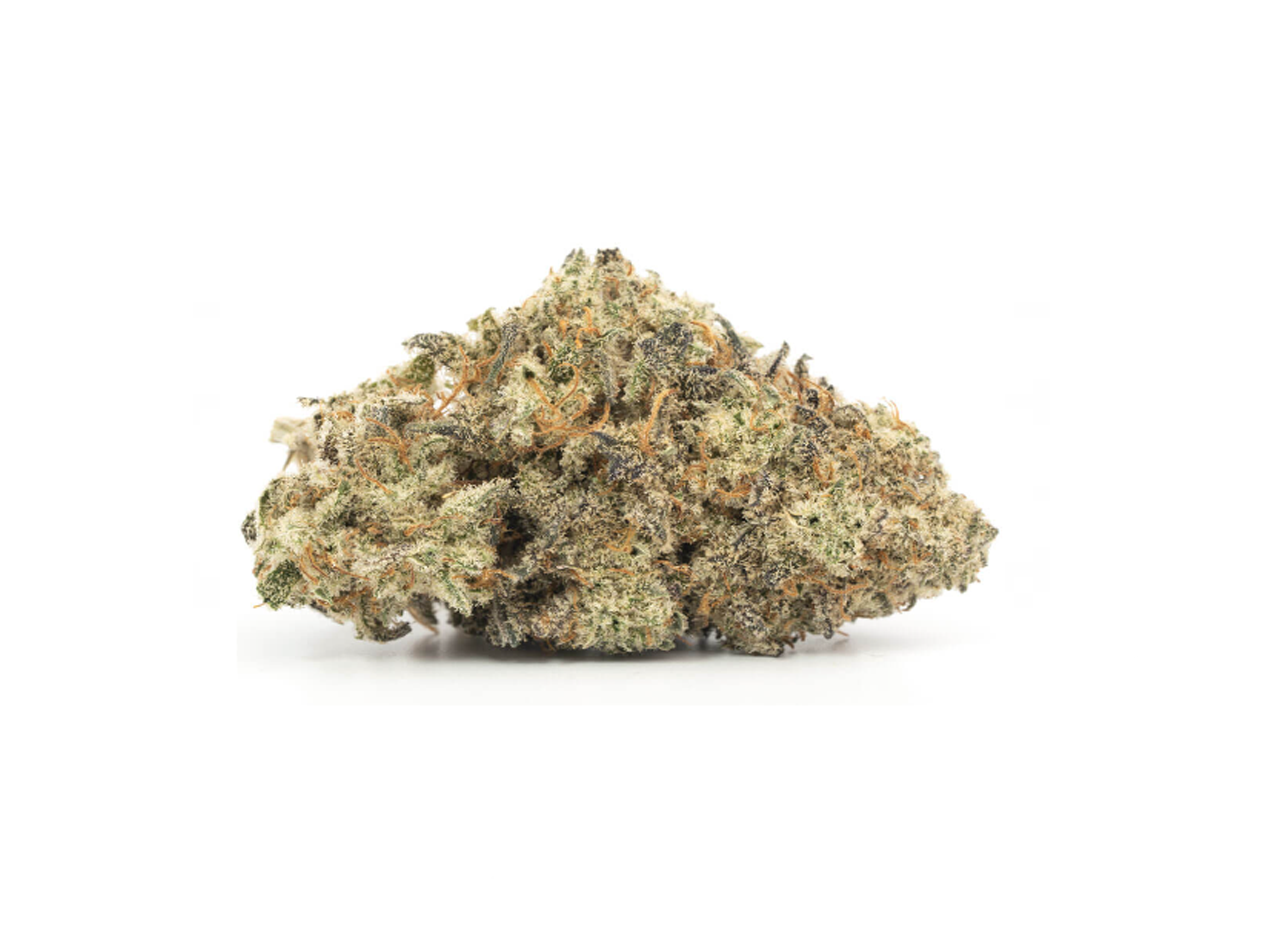 Thin Mint Girl Scout Cookies Marijuana Strain